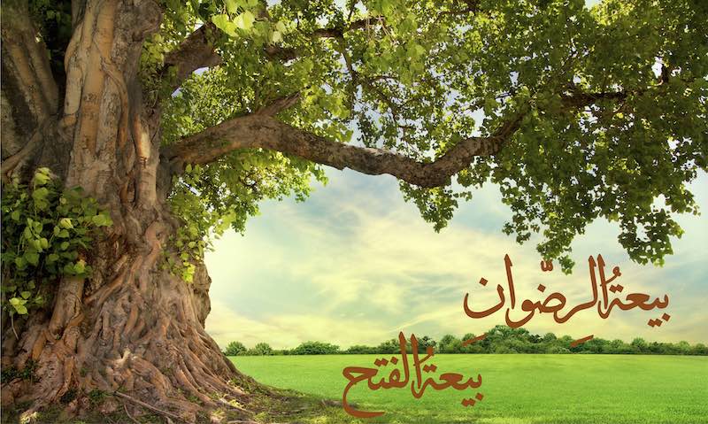 بشريات الفتح المبين واغتنام الفرص