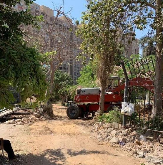 مبادرة تدعو لوقف تجريف أشجار خمس نقاط بمصر الجديدة لصالح مشاريع "الجيش"
