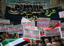 وقفات الأطباء والمحامين والصحفيين تضامنًا مع غزة