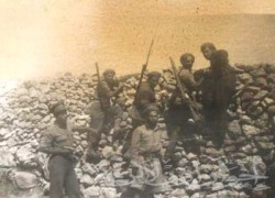 الإخوان في حرب 48