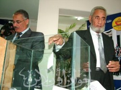 النواب في عملية التصويت