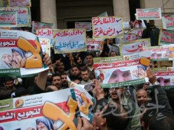 غزة لن تموت.. صرخة المحامين