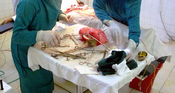 "مافيا" تجارة الأعضاء.. أسواق لبيع فقراء المصريين