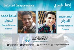 115 يوما على اختفاء الشقيقين أحمد وأسامة السواح قسريا بالقاهرة