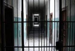 سجن طره يطلق الكلاب البوليسية على المعتقلين.. واستغاثة لإنقاذهم