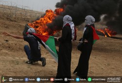 "جمعة عمال فلسطين".. ألف إصابة بالاختناق والرصاص