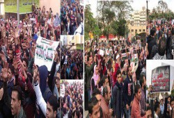 جامعات مصر تواصل فعالياتها نصرة للقدس