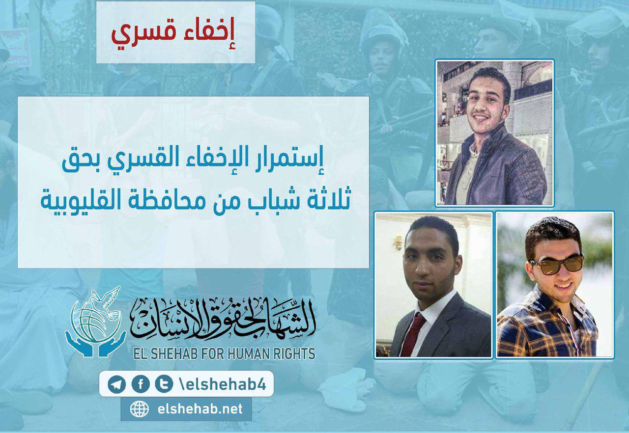 استمرار اختفاء 3 شباب قسريًا بالقليوبية