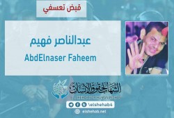 ميليشيات الانقلاب تعتقل "معلما " بالأقصر