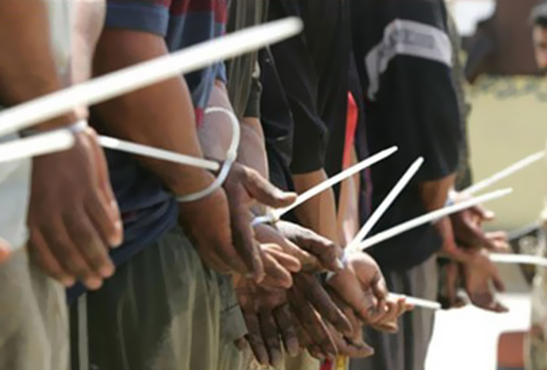 حملة اعتقالات مسعورة بكفر شكر بالقليوبية