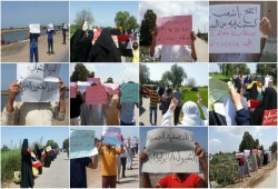 الدقهلية تصرخ: "أوقفوا قتل الأبرياء"