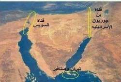 جماعة الإخوان: قائد الانقلاب خائن و14 يونيو نكسة