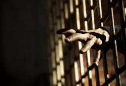 شرطة الانقلاب تعتقل محاسبا وطبيبا بالمنوفية