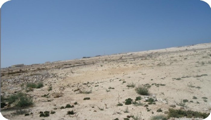 عسكر الانقلاب ينهبون 14.5 ألف فدان من ممتلكات الشعب