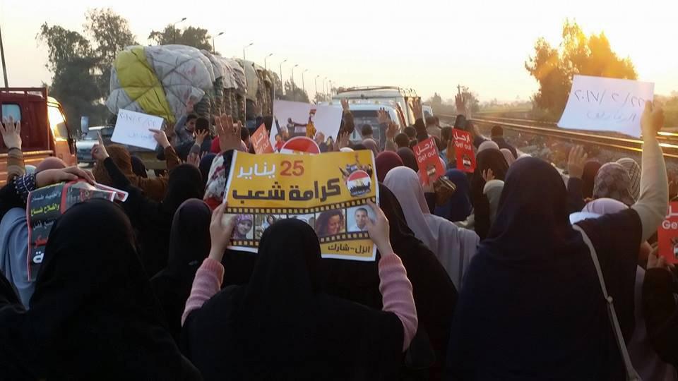 ثوار الزقازيق يواصلون فعالياتهم بأسبوع "السيسي عدو الشعب"