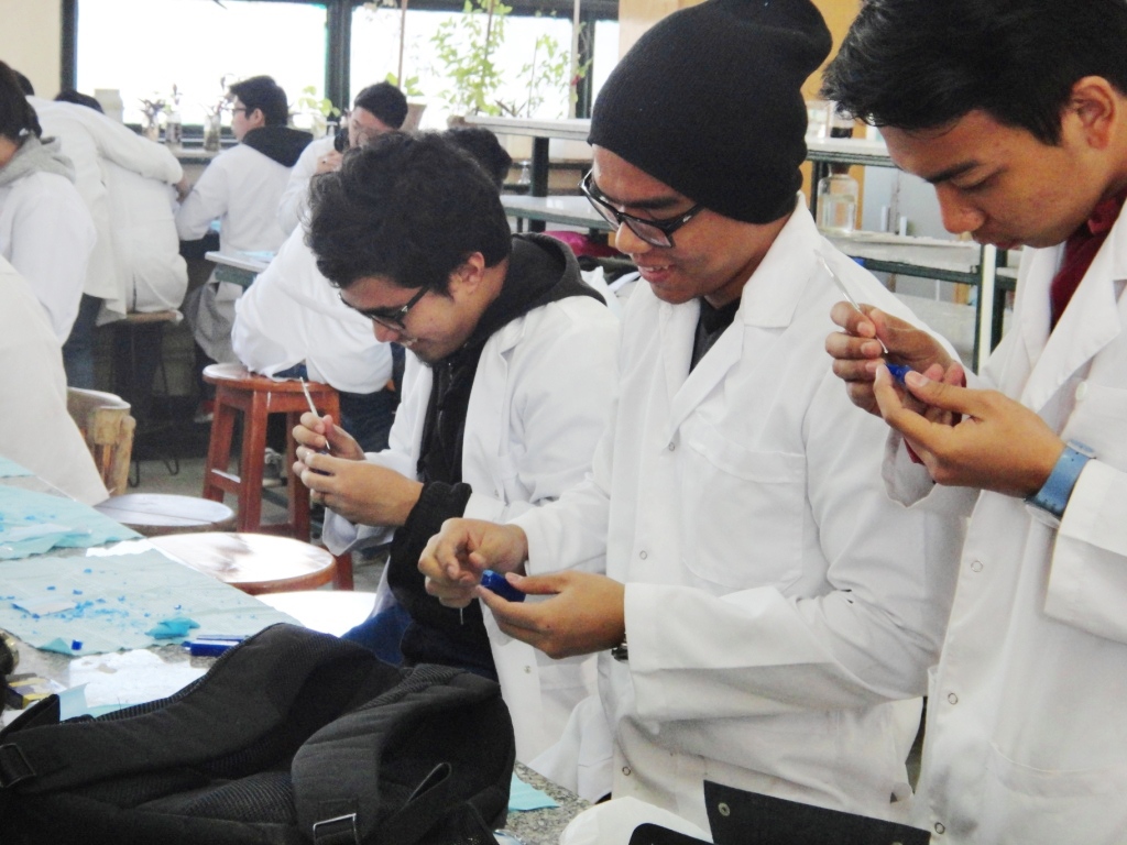 ماليزيا تمنع طلابها من الدراسة في مصر