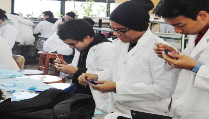 ماليزيا تمنع طلابها من الدراسة في مصر