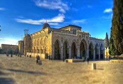 ذكرى حريق الأقصى .. عهد وميثاق