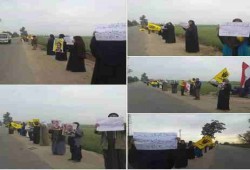 فيديو.. ثوار فاقوس يطالبون بالقصاص من قتلة شهيدي الإبراهيمية