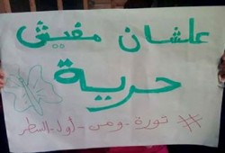 "قضاة الشرعية" يتهمون مجلس التأديب والصلاحية بالتزوير