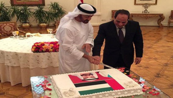 د. إبراهيم حمامي يسخر من احتفال السفاح مع بن زايد