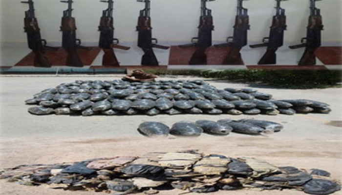 الانفلات الأمني وراء إصابة 7 مواطنين وتحطم محلات البلينا