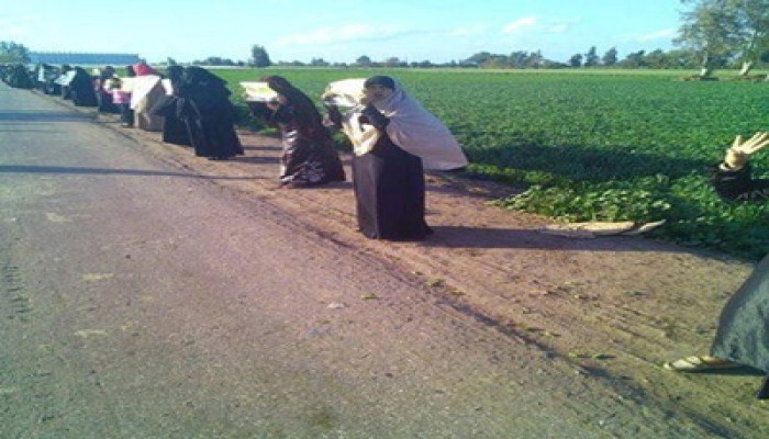 نساء نبروه ينتفضن تنديدًا بتردي الأوضاع الاقتصادية