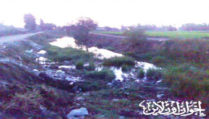 إهمال الانقلاب.. الصرف يلوث مياه الشرب والزراعة بأسيوط