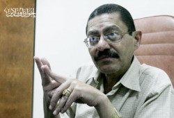 د. رفيق حبيب يرصد أسباب الحرب على الاخوان