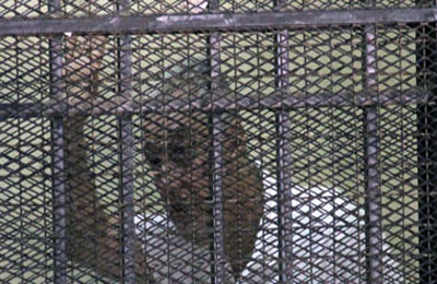 اليوم الحكم علي سامح فهمي و5 آخرين بتهمة تصدير الغاز للصهاينة