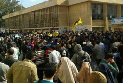 طلاب جامعة المنصورة يهتفون بالقصاص لشهداء "الوايت نايتس"