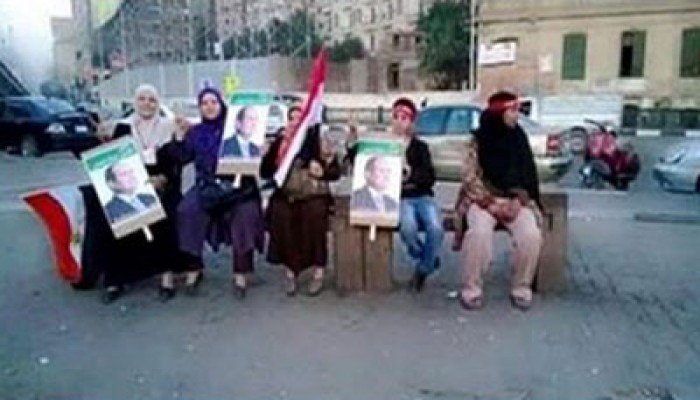 بالصور. فضيحة مفوضي السيسي