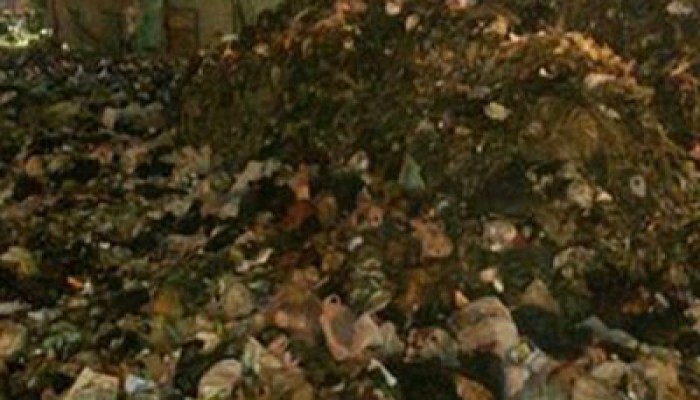 أكوام القمامة تحاصر شوارع السنطة.. والانقلاب يتجاهل