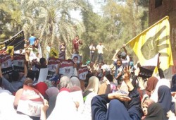 مباشر.. ثوار مركز بلبيس يواصلون حراكهم الثوري