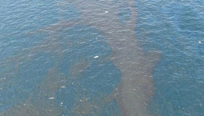 بقعة زيت خام تلوث شواطئ رأس غارب.. والانقلاب يتجاهل