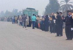 مباشر.. سلاسل بشرية لثوار بلبيس في أسبوع "معًا نثور "