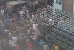 طوابير أمام مستودعات الواسطى لتفاقم أزمة اسطوانات البوتاجاز