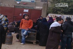 طوابير وتدافع أمام مستودعات قليوب.. والسوق السوداء تنتعش