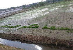 حملة اسبراي بالخانكة تضامنًا مع الفلاح ضد ضنك الانقلاب