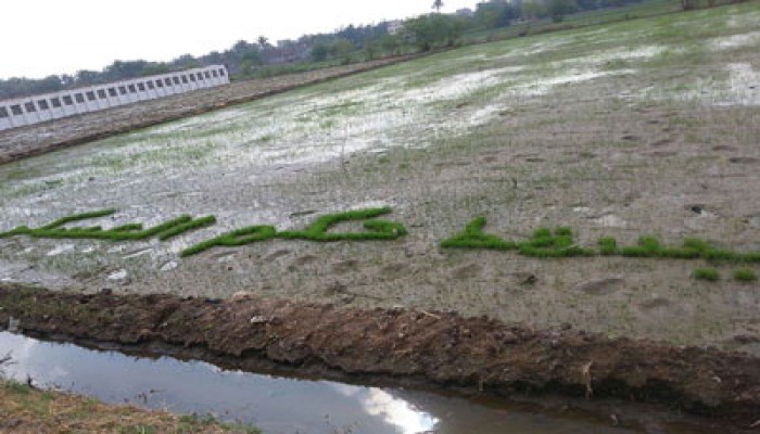 حملة اسبراي بالخانكة تضامنًا مع الفلاح ضد ضنك الانقلاب