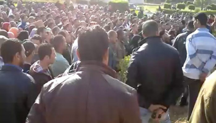 الانقلاب يتواطأ مع إدارة بنجر السكر بالحامول ضد العمال