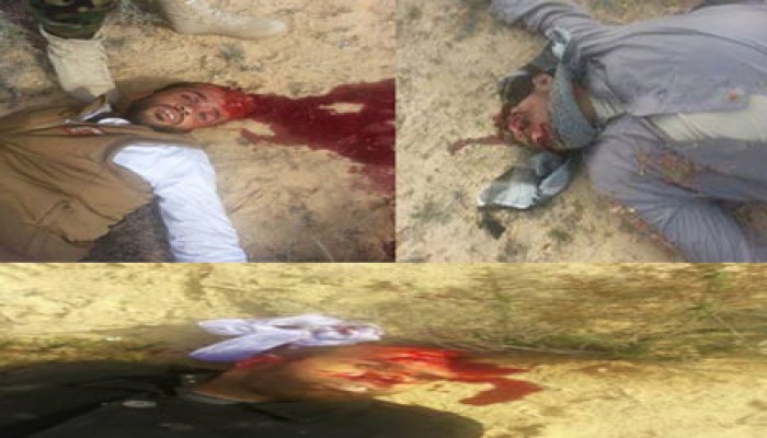 الانقلاب يقتل 5 من معتقلي سيناء ويلقي بهم شرق العريش