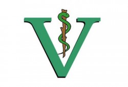 شؤم الانقلاب وراء ظهور مرض "طاعون الماعز" بالسنطة