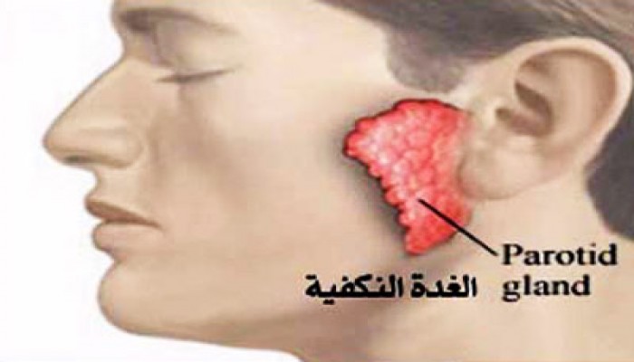 إهمال الانقلاب وراء إصابة 12 تلميذًا بالنكافية بسوهاج