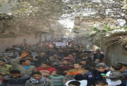 مسيرة حاشدة بغرب الإسكندرية تهتف بإسقاط الانقلاب