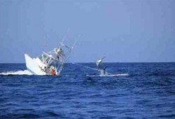 كوارث الانقلاب ..غرق مركب يحمل 35 صيادًا بالبحر الأحمر