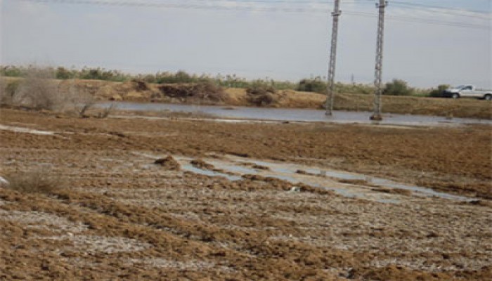 فشل الانقلاب يهدد بتبوير 300 فدان لأهالي كفر الشيخ