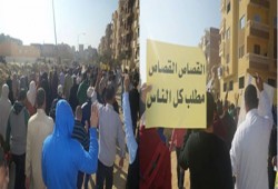 بالصور.. ثوار أكتوبر يتظاهرون رفضًا لبراءة المخلوع