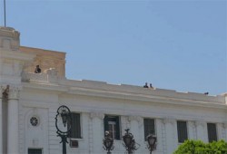 شؤم الانقلاب.. وفاة 3 حالات جديدة بإنفلونزا الطيور