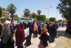 إصابات واعتقالات في اعتداء الانقلاب على مسيرتين بالمنيا